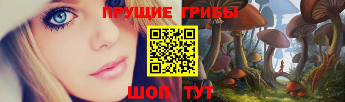 Псилоцибиновые грибы Psilocybe  Галлюциногенные грибы MAGIC MUSHROOMS  Энгельс  Вход с VPN 